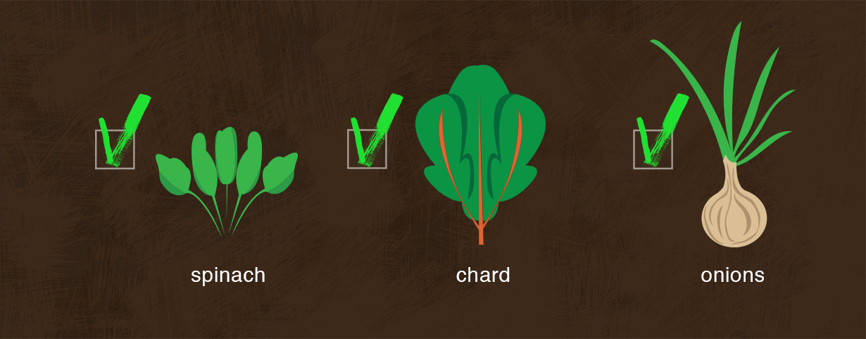 spinach_chard_onions_4.jpg