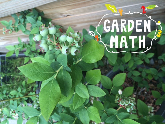 garden_open.jpg