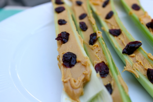 Ants-on-a-log-with-Craisins-and-celery.jpg