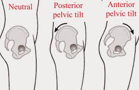 pelvis tilt.jpeg