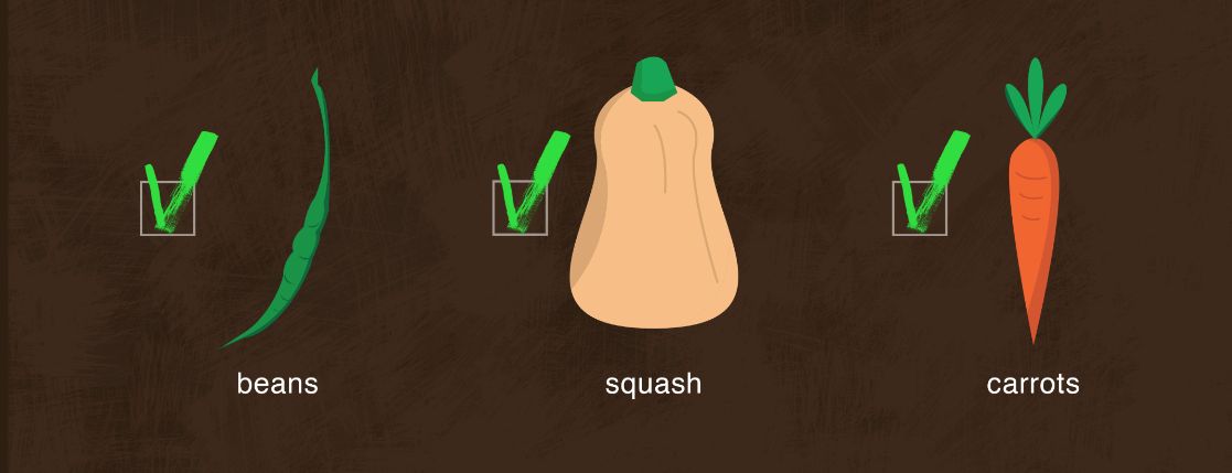 checklist5.jpg