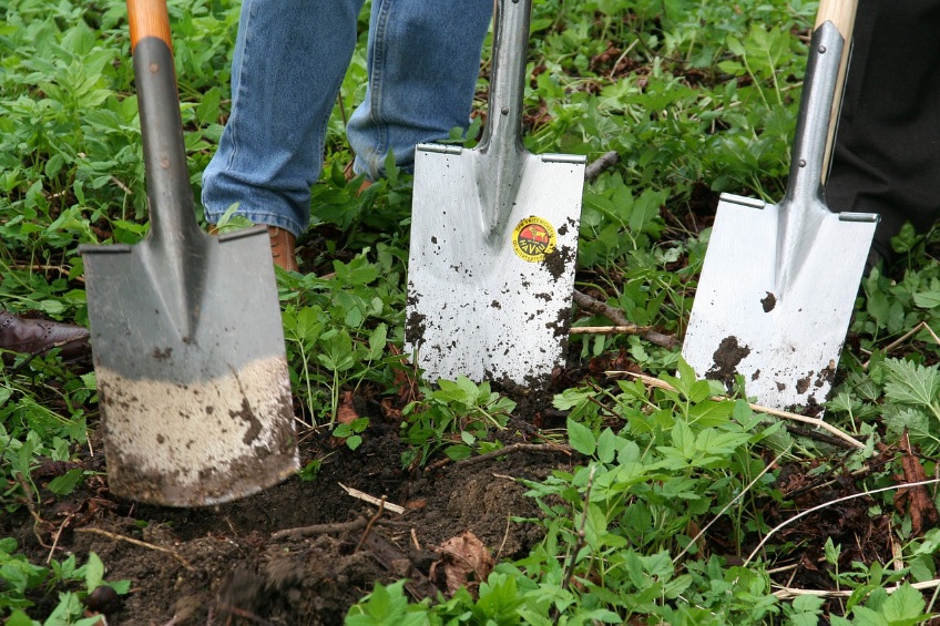 gardening-331986_1280.jpg