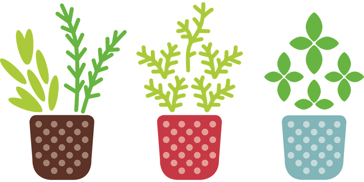 herb-817486_1280.png