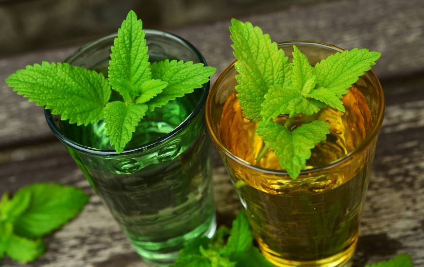 lemon-balm-770051_1280.jpg