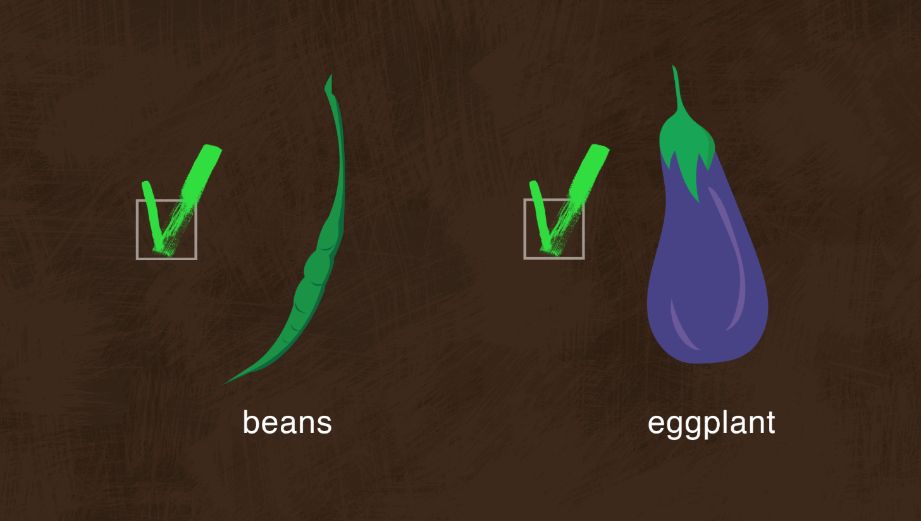 beans_eggplant.jpg