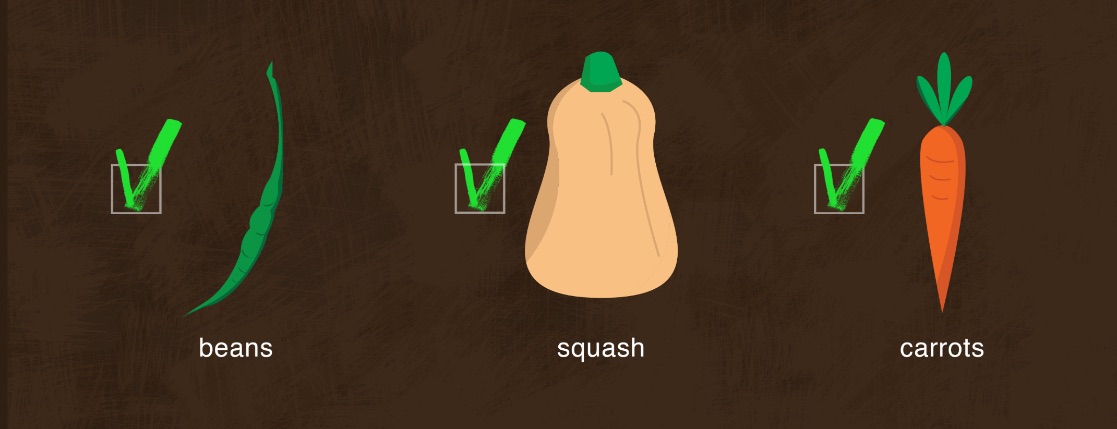 checklist3.jpg