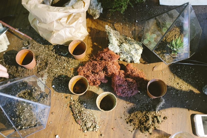 gardening-690917_1280.jpg