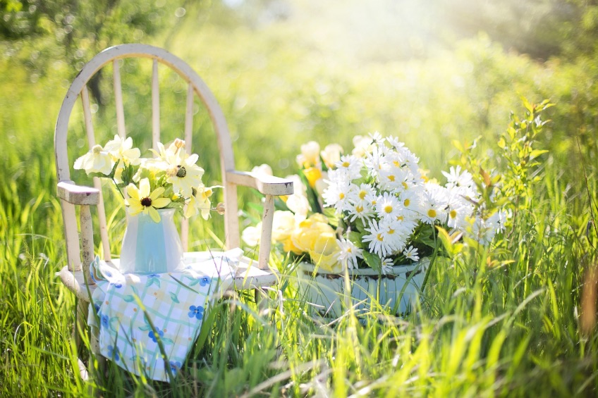 summer-still-life-779386_1920.jpg